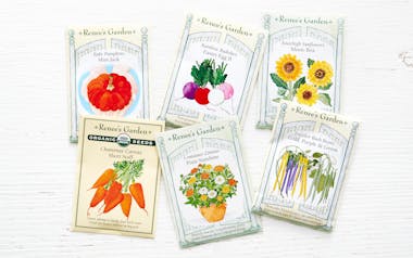 Children's Seed Garden Seeds Collection