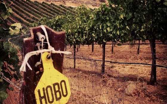 Hobo Wines