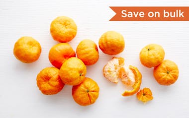 Bulk Organic Seedless Golden Nugget Mandarins