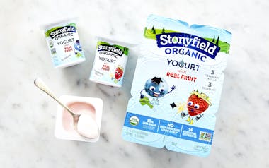 Organic Kids Blueberry & Strawberry Vanilla Lowfat Yogurt Cups