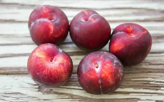 Organic Flavor Rich Pluots 1 lb Frog Hollow Farm Good Eggs