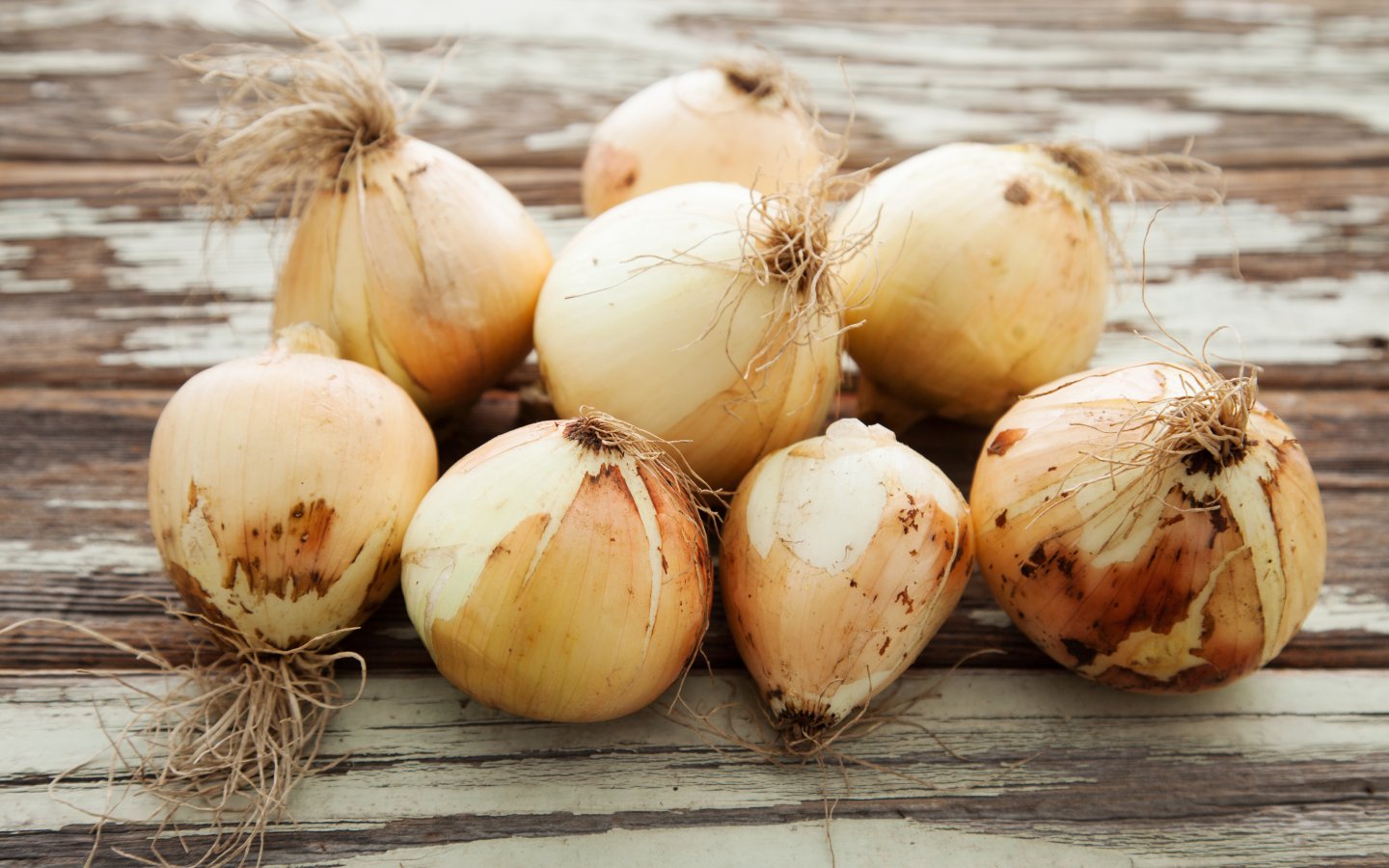 Walla Walla Onions 1 lb Martin Bournhonesque Good Eggs