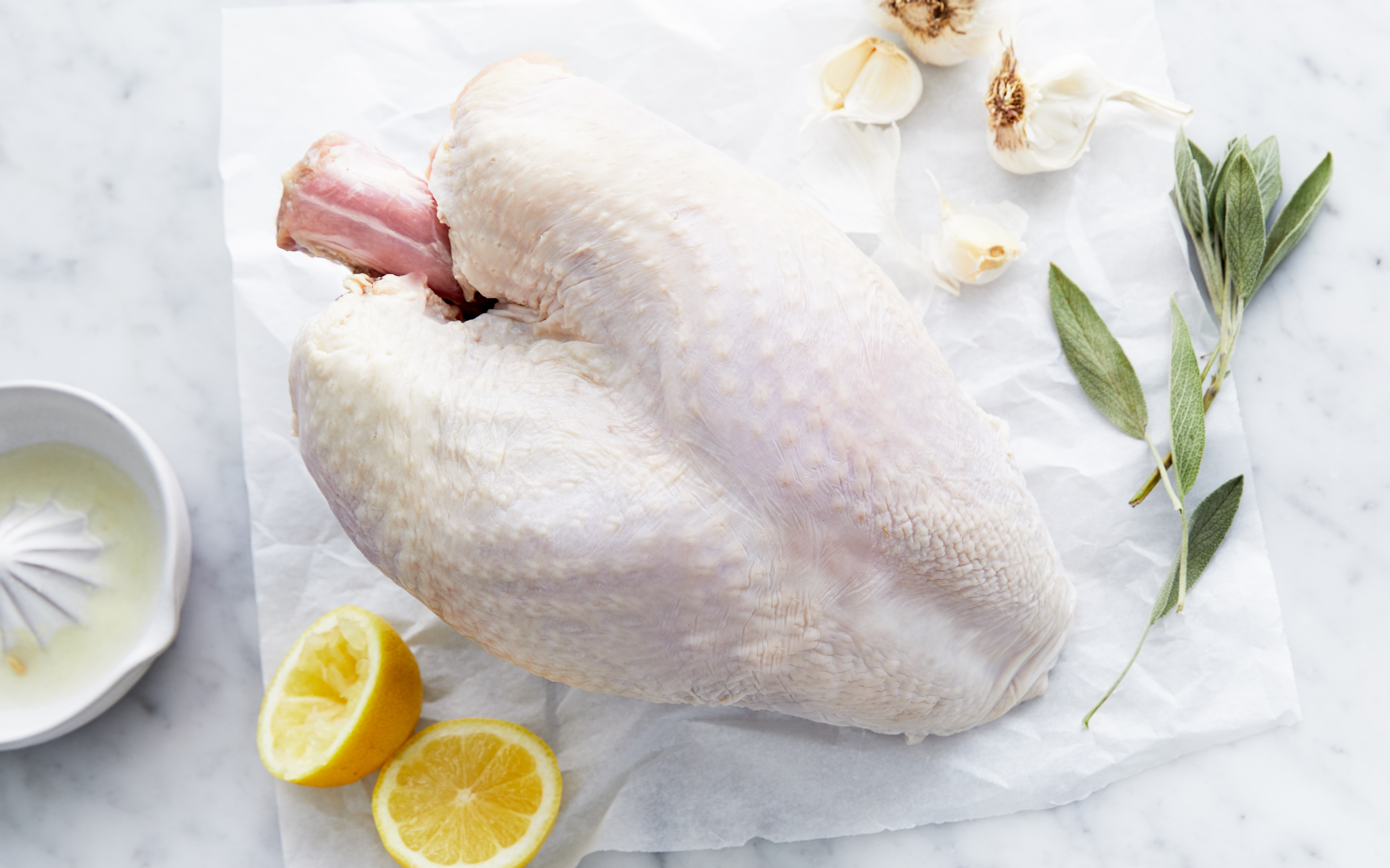 Pasture Raised BoneIn Whole Turkey Breast (Frozen) 8 lb Ferndale