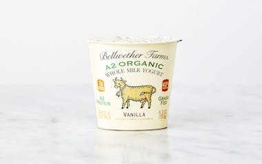 A2 Organic Vanilla Whole Milk Yogurt