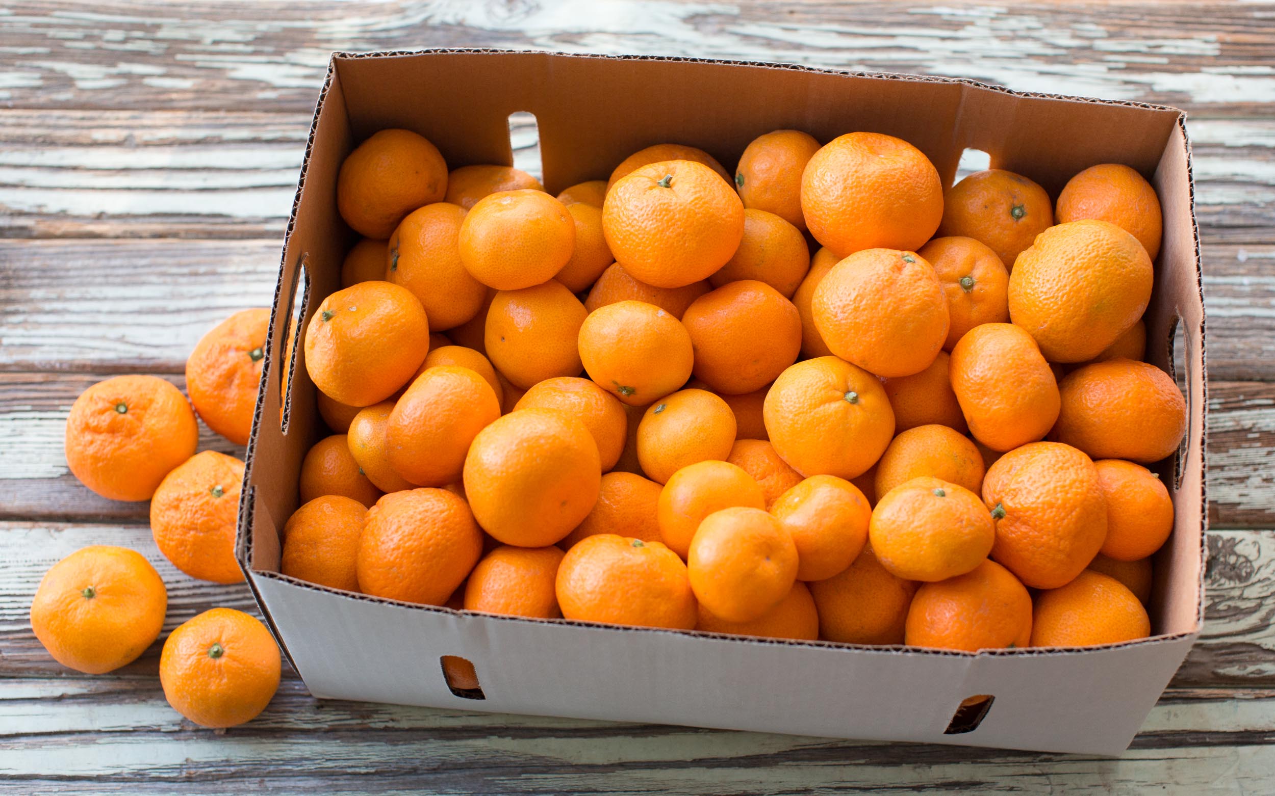 Organic Juicing Satsuma Mandarin 25 lb Side Hill Citrus Good Eggs