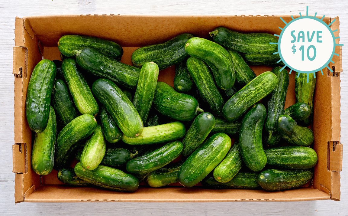 Case Of Organic Kirby Pickling Cucumbers Full Belly Farm Sf Bay Good Eggs