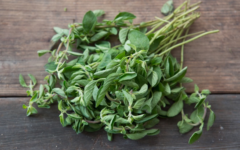 Organic Oregano From Our Farmers SF Bay Good Eggs