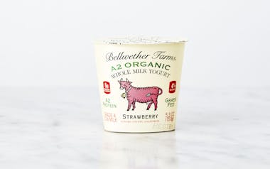 A2 Organic Strawberry Whole Milk Yogurt