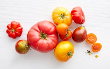Bulk Organic Mixed Heirloom Tomatoes
