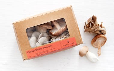 Organic Umami Mushroom Pack