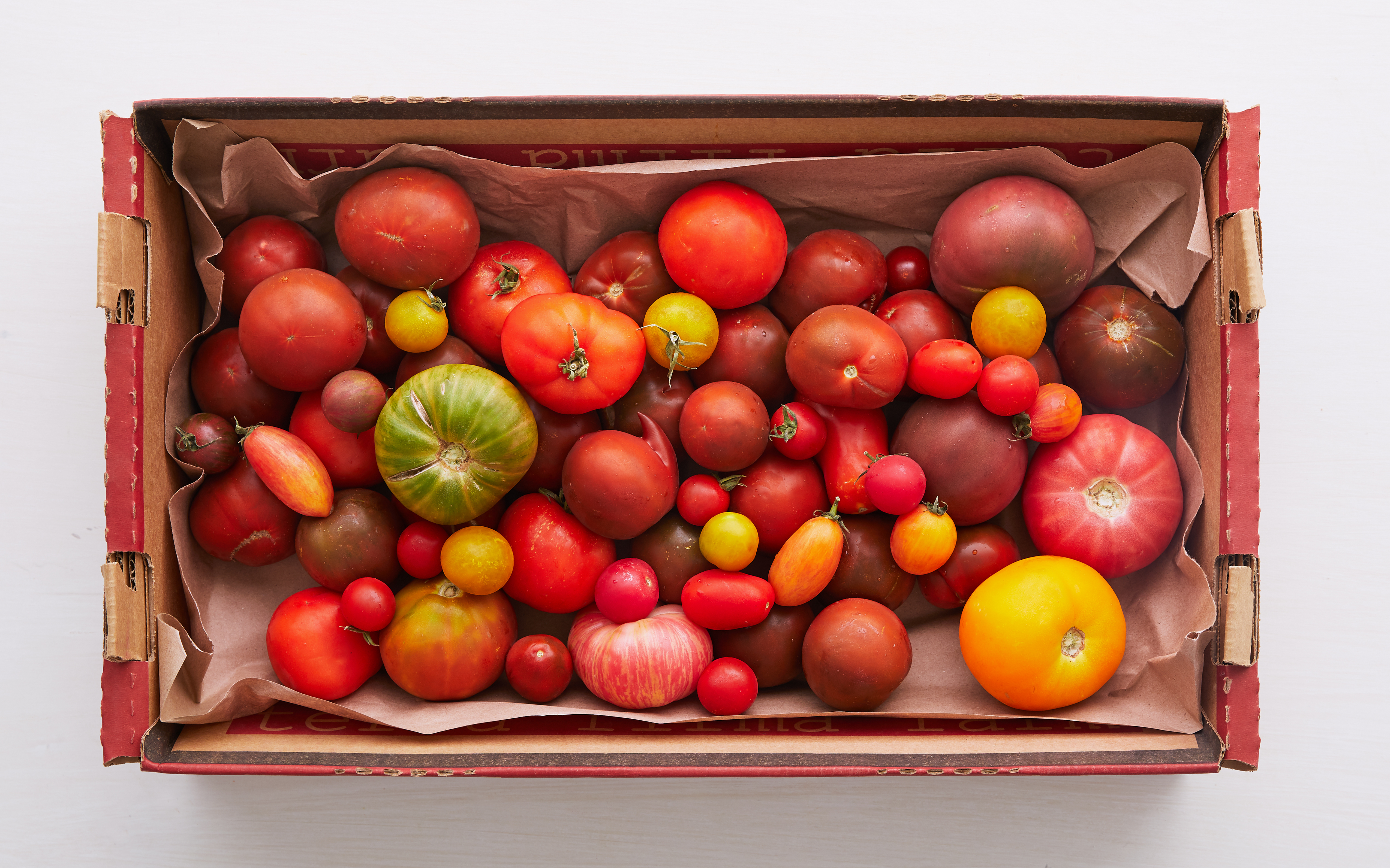 Organic Canning Tomato Box | 10 lb | From Our Farmers | Good Eggs
