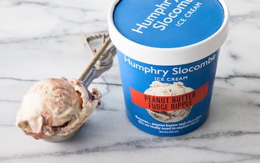 Peanut Butter Fudge Ripple Ice Cream