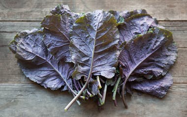 Organic Karinata Kale