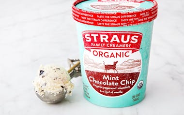 Organic Mint Chocolate Chip Ice Cream