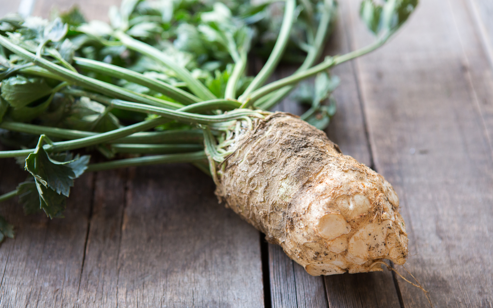 Organic Celery Root with Greens Coke Farms SF Bay Good Eggs