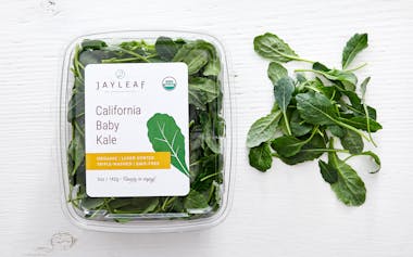 Pre-Washed Organic Baby Dino Kale