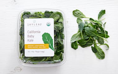 Pre-Washed Organic Baby Dino Kale