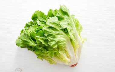 Organic Escarole