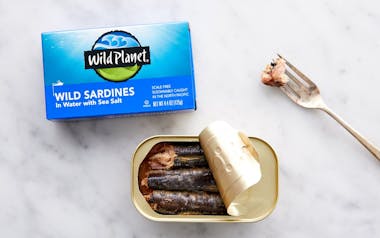Wild Pacific Sardines in Water