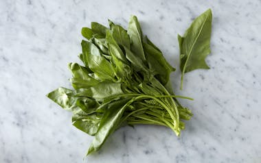Organic Okame Spinach