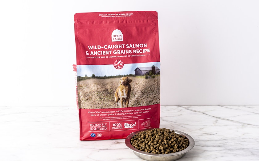 Wild-Caught Salmon Ancient Grains Recipe Dry Dog Food lb