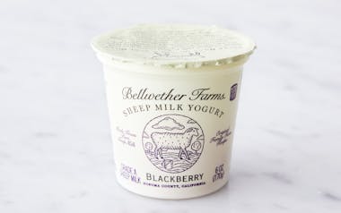 Blackberry Sheep's Milk Yogurt