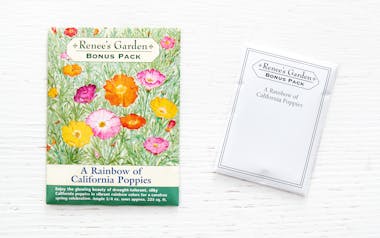 A Rainbow of California Poppies Seeds Packets