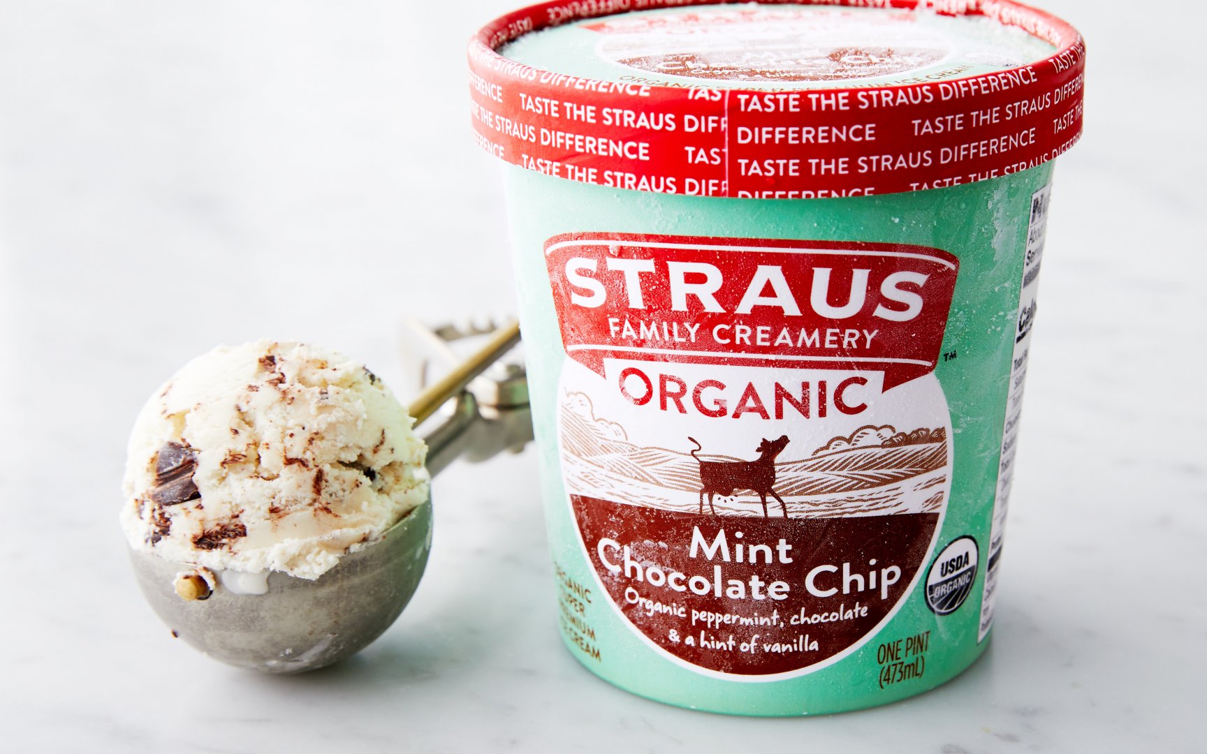 Organic Mint Chocolate Chip Ice Cream 1 pint Straus Family Creamery
