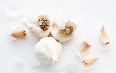 Organic Garlic Trio