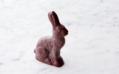 Organic Dark Chocolate Bunny