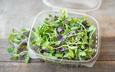 Organic Salad Mix