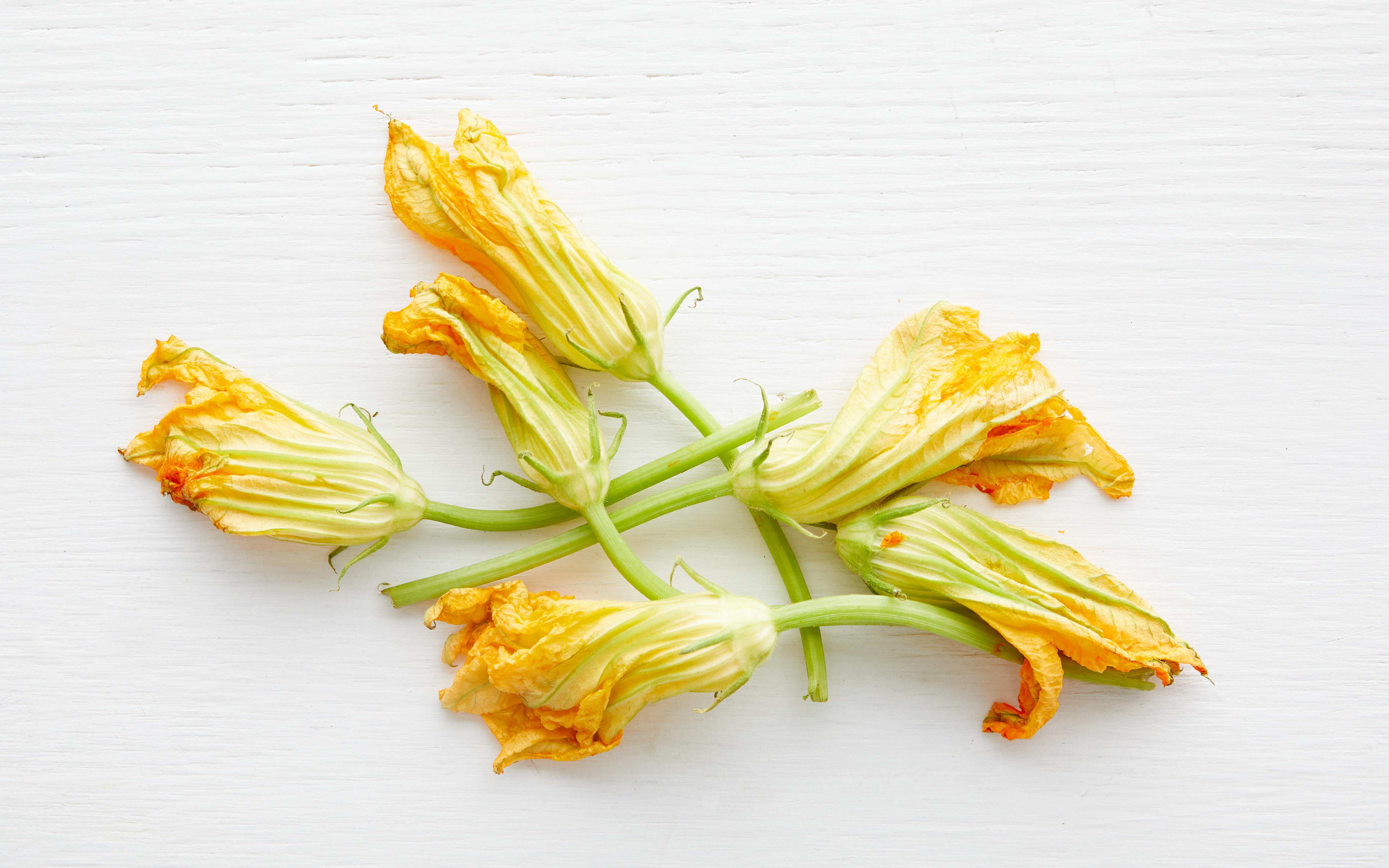 Organic Squash Blossoms From Our Farmers Good Eggs