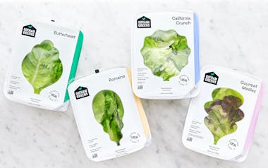 Lettuce Variety Pack