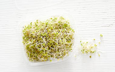 Organic Broccoli Sprouts