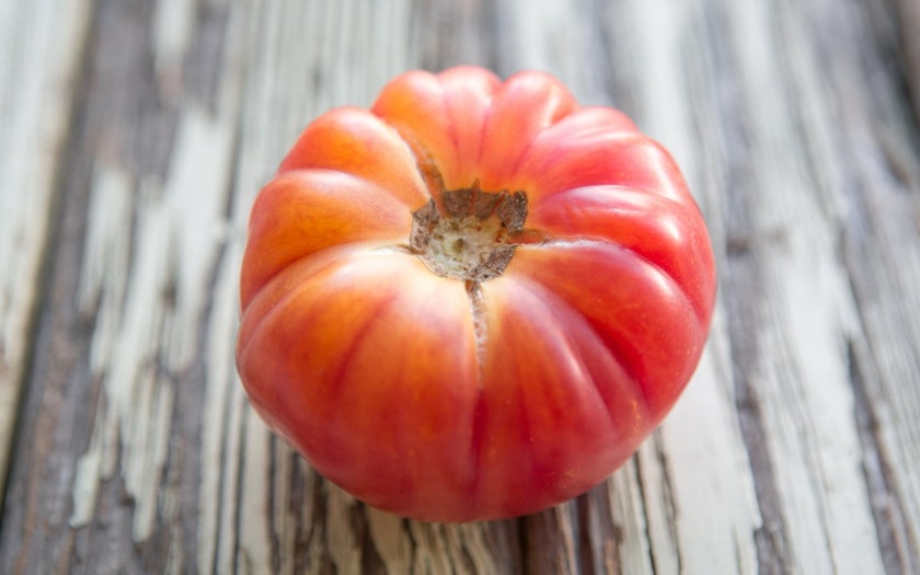  Pink Brandywine Tomato Seeds - Heirloom Large Tomato - One of  The Most Delicious Tomatoes for Home Growing, Non GMO - Neonicotinoid-Free.  : Patio, Lawn & Garden