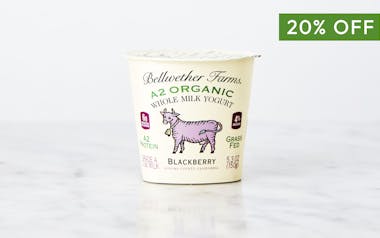 A2 Organic Blackberry  Whole Milk Yogurt