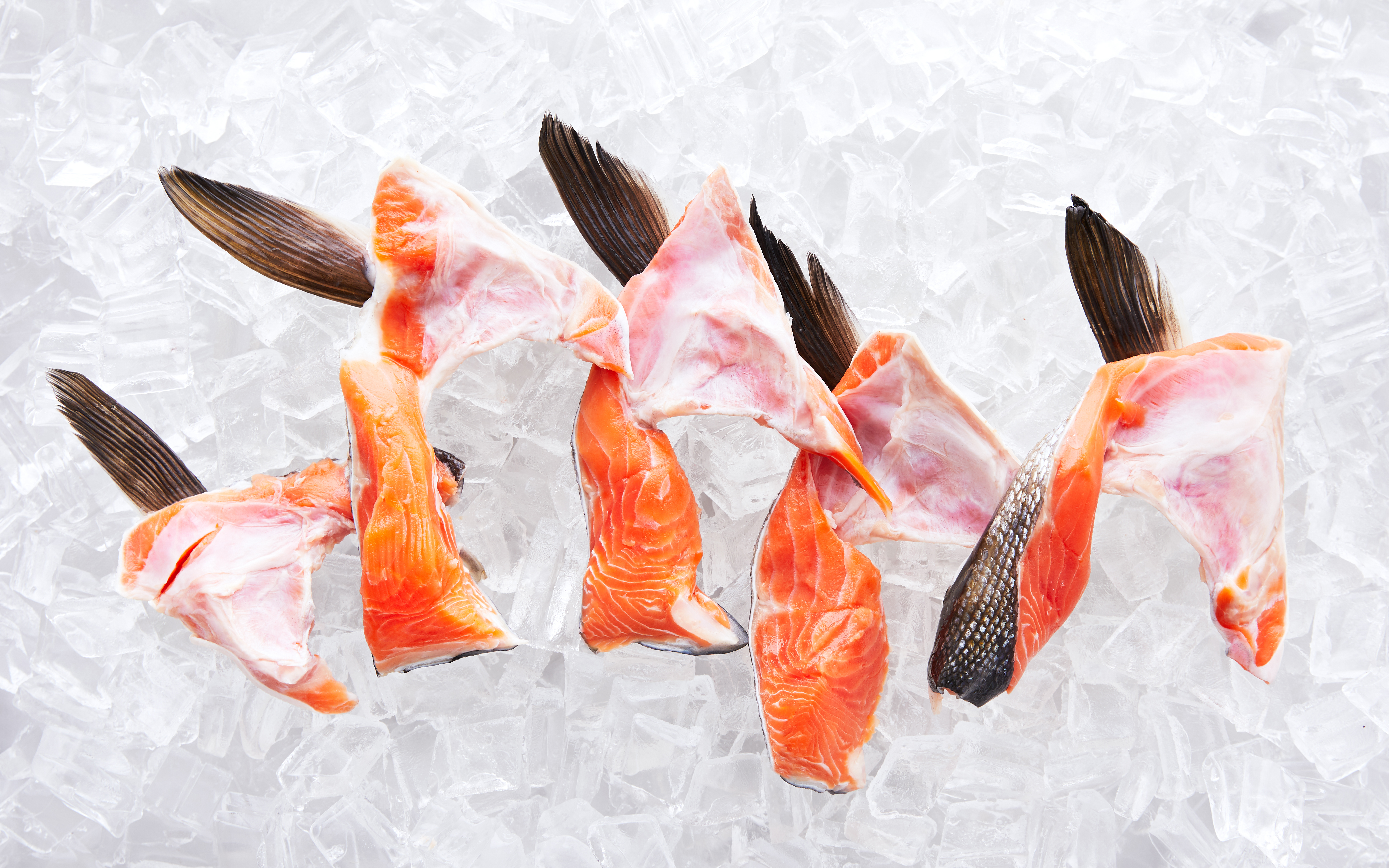 Wild Alaskan Salmon Collars (Frozen) 1 lb Sea to Shore Seafood Co. Good Eggs