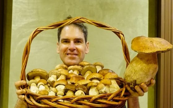 King of Mushrooms