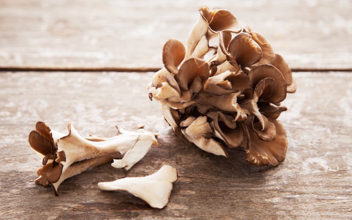 Organic Maitake Mushrooms 4 oz Wine Forest Good Eggs