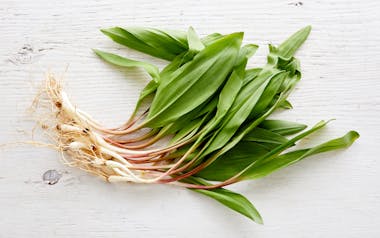 Foraged Ramps