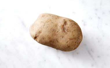 Organic Large Russet Potato