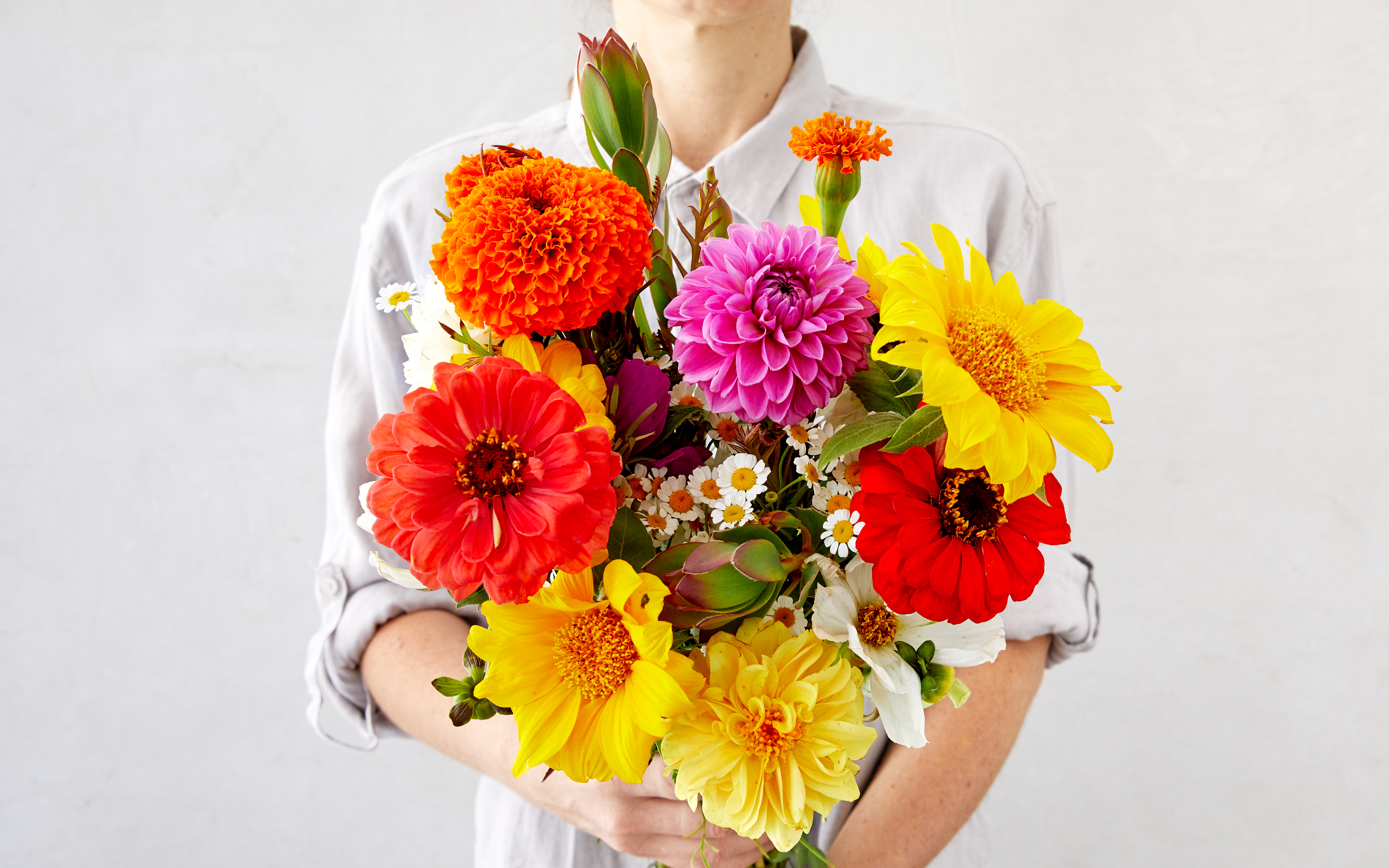Organic Summer Field Flower Bouquet 1 bunch Four Sisters Farm