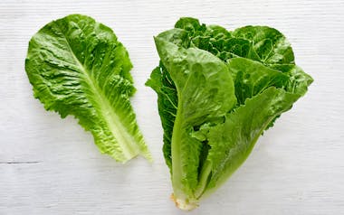 Organic Romaine Lettuce