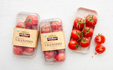 Organic & Fair Trade On-the-Vine Valentino Tomato Trio (Mexico)