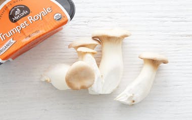 Organic Trumpet Royale (King Trumpet) Mushrooms