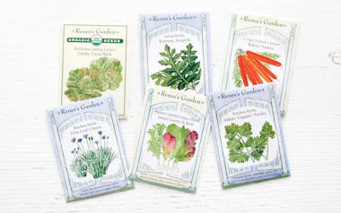 Gourmet Salad Garden Seeds Collection