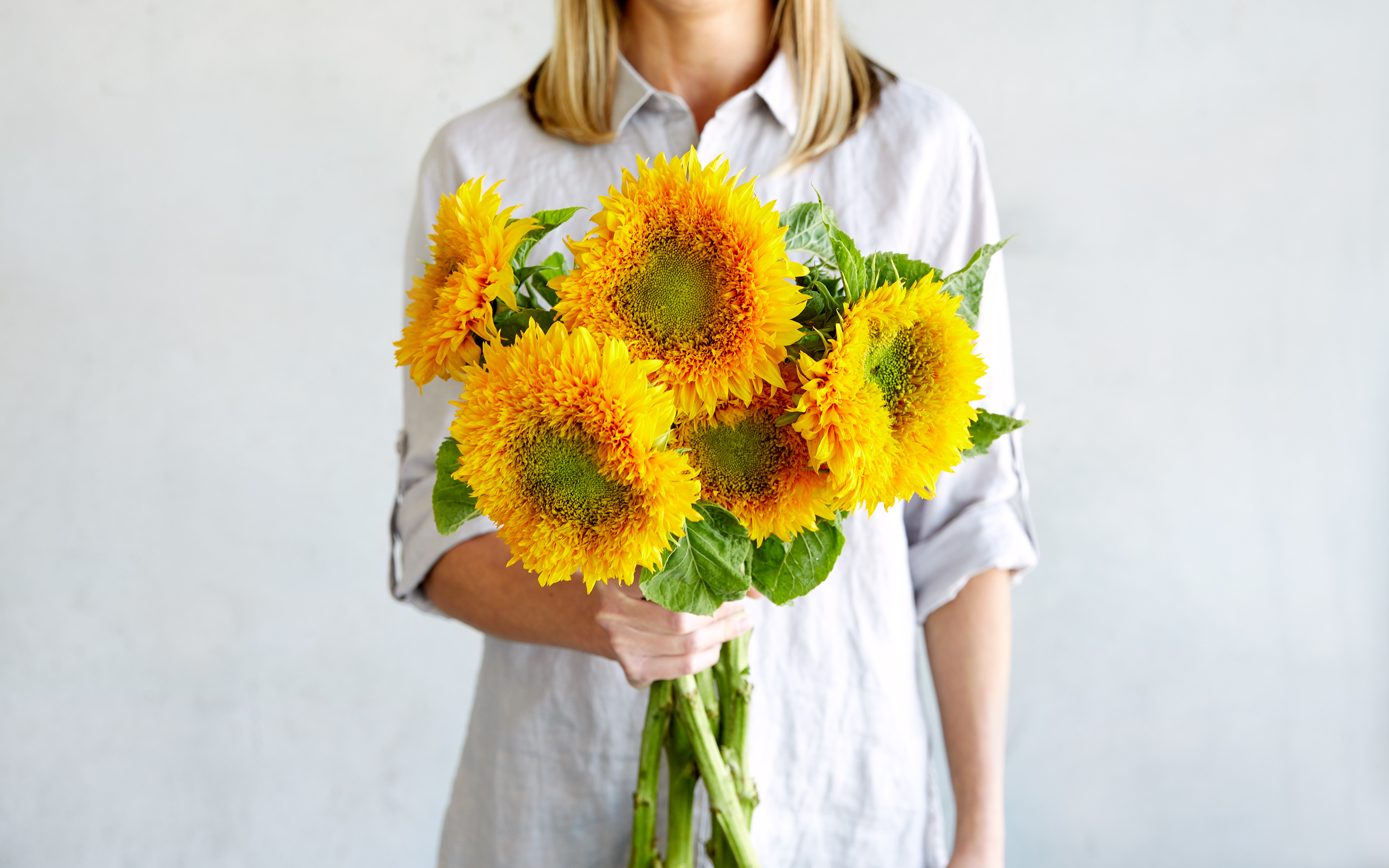 Teddy bear best sale sunflower bouquet