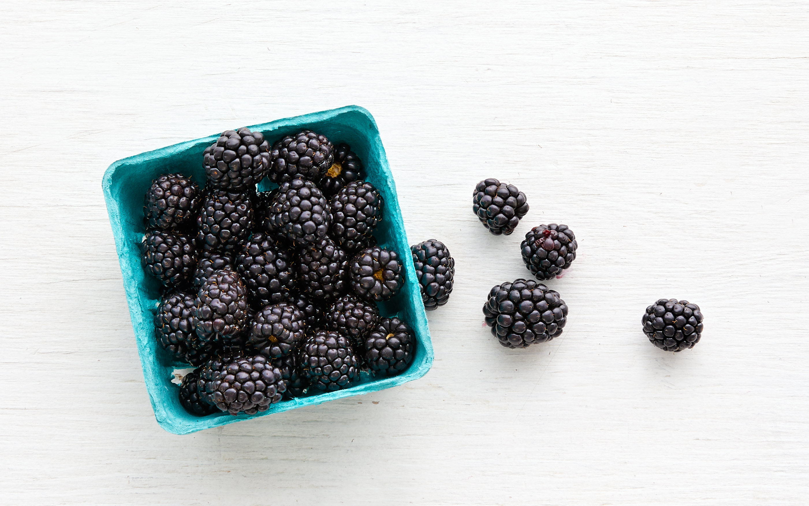 Organic Blackberries 1 half pint From Our Farmers Good Eggs