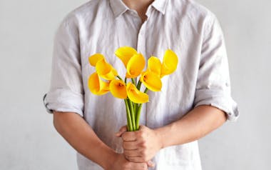 Yellow Calla Lillies