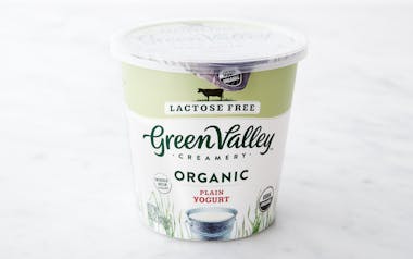 Organic Lactose-Free Plain Whole Milk Yogurt